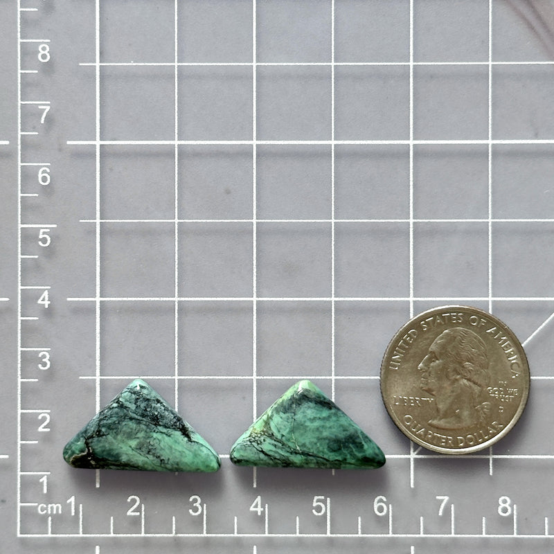 Large Ocean Blue Triangle Crescent Lake Variscite, Set of 2 Dimensions