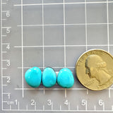 Small Sky Blue Freeform Sleeping Beauty Turquoise, Set of 3 Dimensions