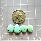 Small Faint Green Freeform Sonora Turquoise, Set of 4 Dimensions