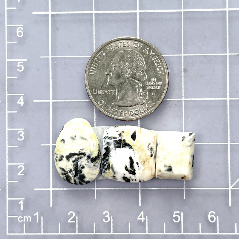 Medium White Mixed White Buffalo Dolomite, Set of 3 Dimensions