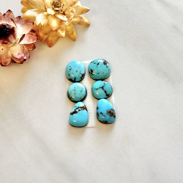 Small Mixed Freeform Kingman Turquoise, Set of 6 Background