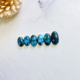 Small Ocean Blue Oval Prince Egyptian Turquoise, Set of 6 Background