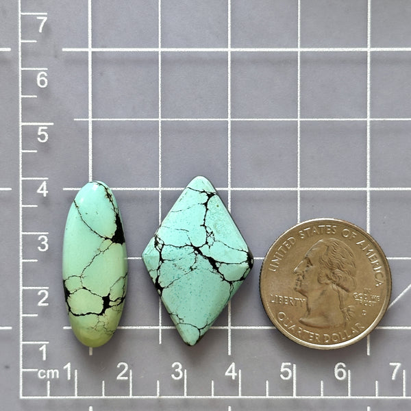 Large Sky Blue Mixed Wild Horse Turquoise, Set of 2 Dimensions