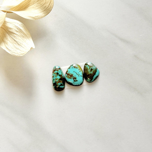 Small Sea Green Freeform Carico Lake Turquoise, Set of 3 Background