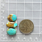 Small Sky Blue Oval Royston Turquoise, Set of 3 Dimensions