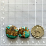 Large Deep Green Freeform Royston Turquoise, Set of 2 Dimensions