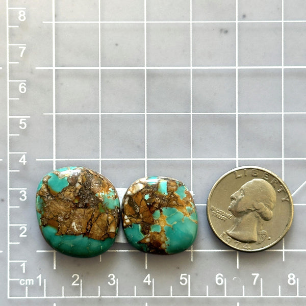 Large Deep Green Freeform Royston Turquoise, Set of 2 Dimensions