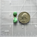 Small Lime Green Mixed Crescent Lake Variscite, Set of 2 Dimensions