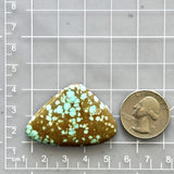 Large Faint Blue Freeform Number 8 Turquoise Dimensions