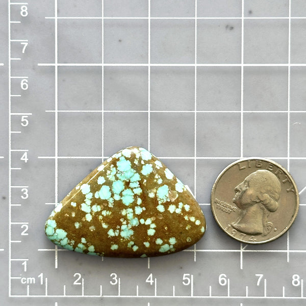 Large Faint Blue Freeform Number 8 Turquoise Dimensions