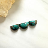 Small Bamboo Green Half Moon Bamboo Mountain Turquoise, Set of 3 Background