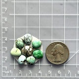 Small Mixed Mixed Mixed Turquoise, Set of 8 Dimensions