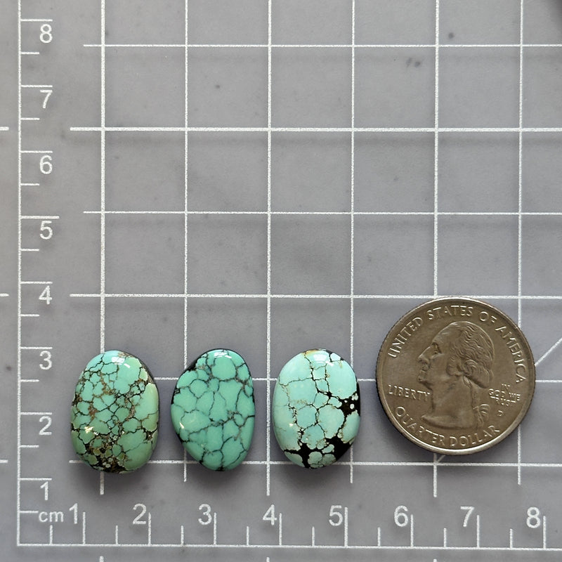 Medium Sky Blue Freeform Treasure Mountain Turquoise, Set of 3 Dimensions