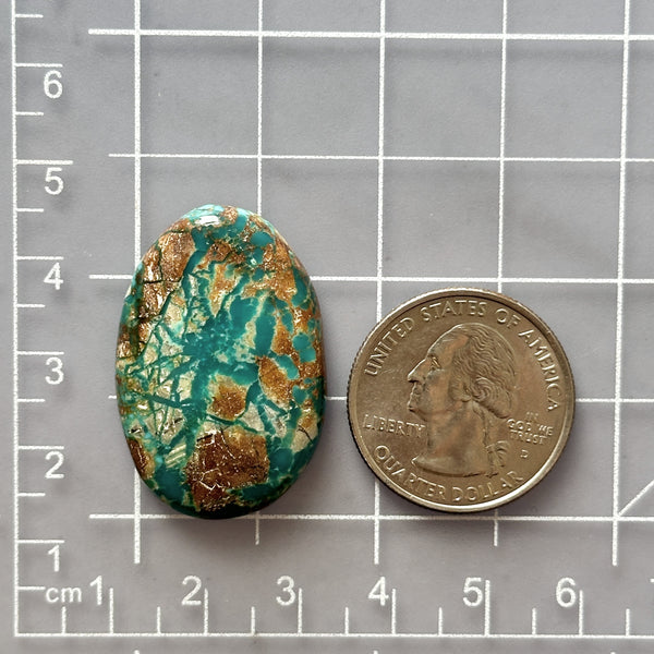 Large Mint Green Oval Fox Turquoise Dimensions