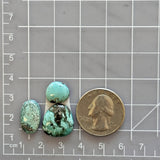 Small Sky Blue Freeform Sonora Turquoise, Set of 3 Dimensions