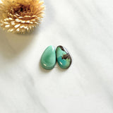 Medium Mint Green Teardrop Royston Turquoise, Set of 2 Background