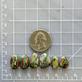 Small Sky Blue Mixed Royston Turquoise, Set of 6 Dimensions