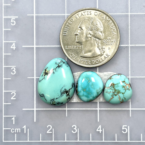 Small Sky Blue Freeform Carico Lake Turquoise, Set of 3 Dimensions