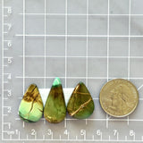 Medium Sea Green Teardrop Crescent Lake Variscite, Set of 3 Dimensions