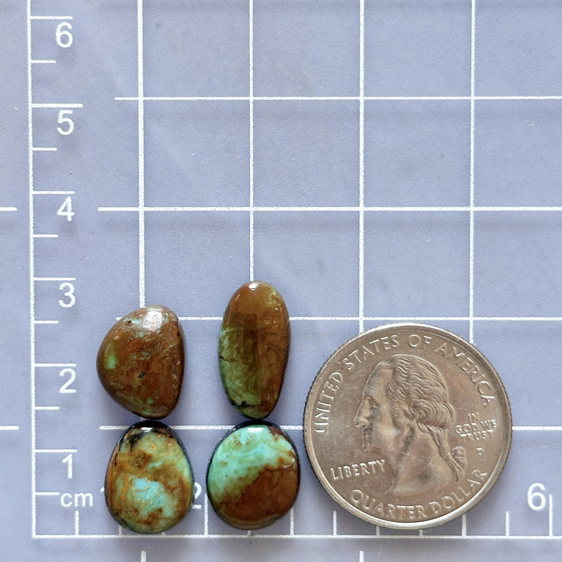 Medium Sea Green Mixed Pilot Mountain Turquoise, Set of 4 Dimensions