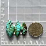 Large Sky Blue Freeform Wild Horse Turquoise, Set of 3 Dimensions