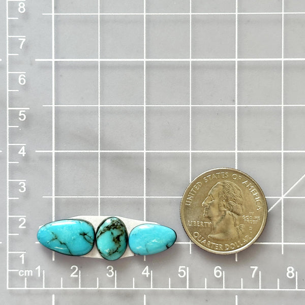 Small Sky Blue Freeform Kingman Turquoise, Set of 3 Dimensions