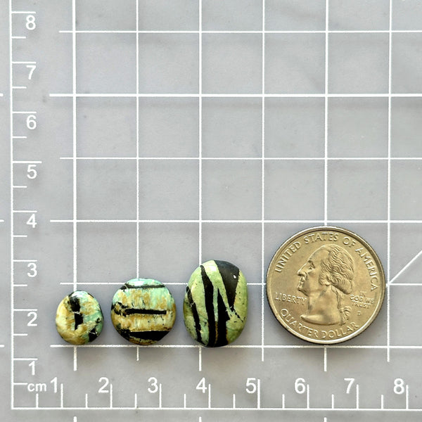 Small Sea Green Mixed Crescent Lake Variscite, Set of 3 Dimensions