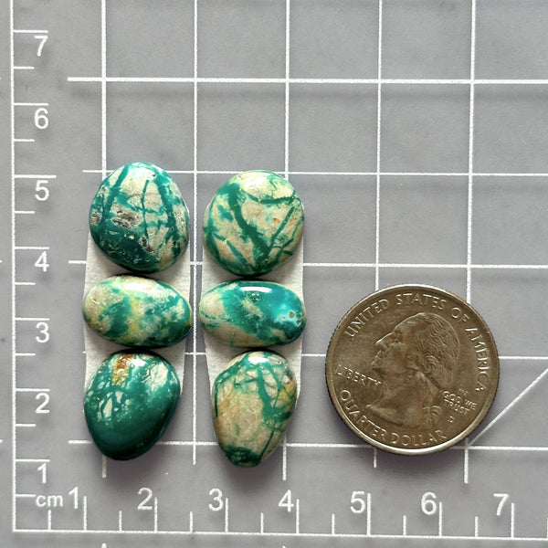 Small Deep Green Mixed Fox Turquoise, Set of 6 Dimensions