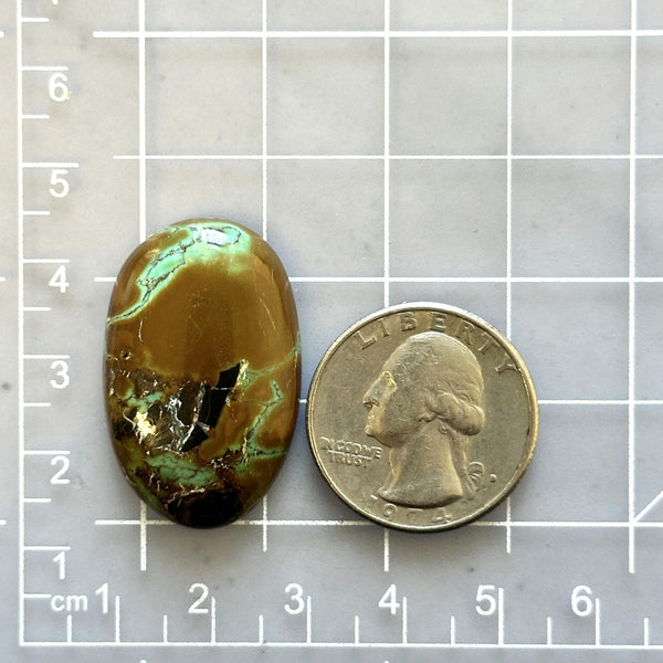 Large Earth Brown Freeform Crescent Lake Variscite Dimensions