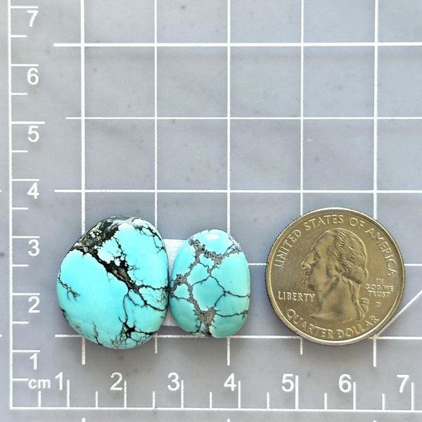 Large Sky Blue Mixed Treasure Mountain Turquoise, Set of 2 Dimensions