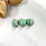 Small Mint Green Freeform Carico Lake Turquoise, Set of 3 Background