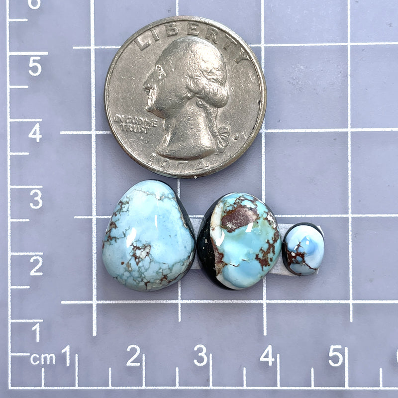 Small Sky Blue Freeform Golden Hills Turquoise, Set of 3 Dimensions