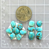 Small Sky Blue Mixed Lone Mountain Turquoise, Set of 13 Dimensions