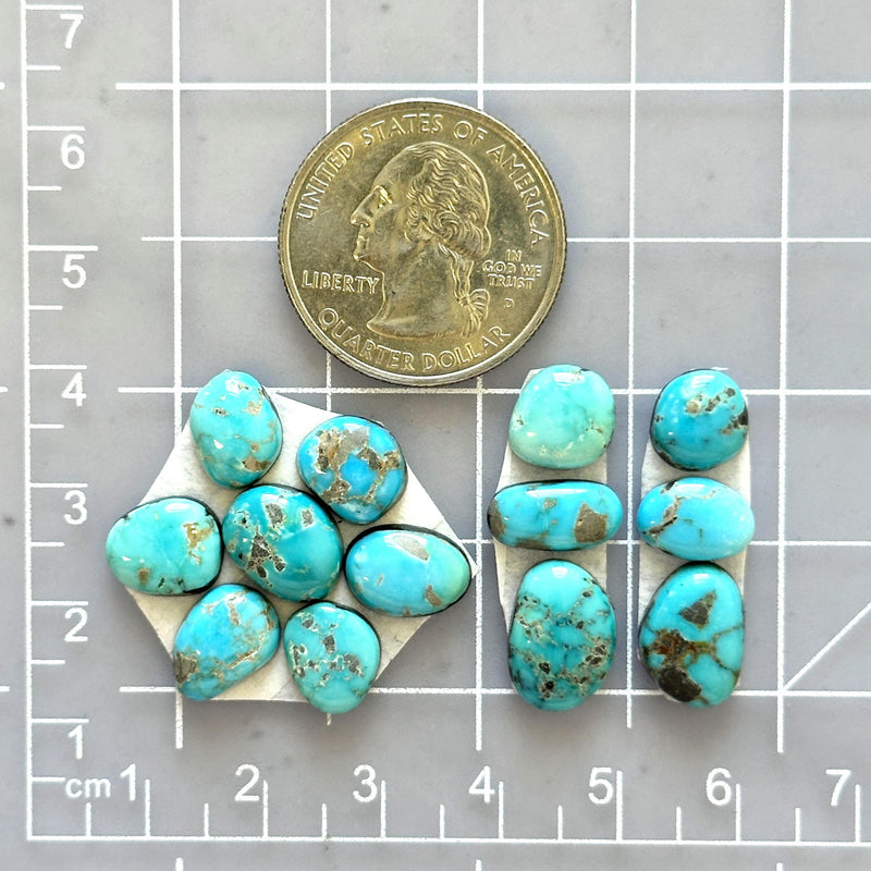 Small Sky Blue Mixed Lone Mountain Turquoise, Set of 13 Dimensions