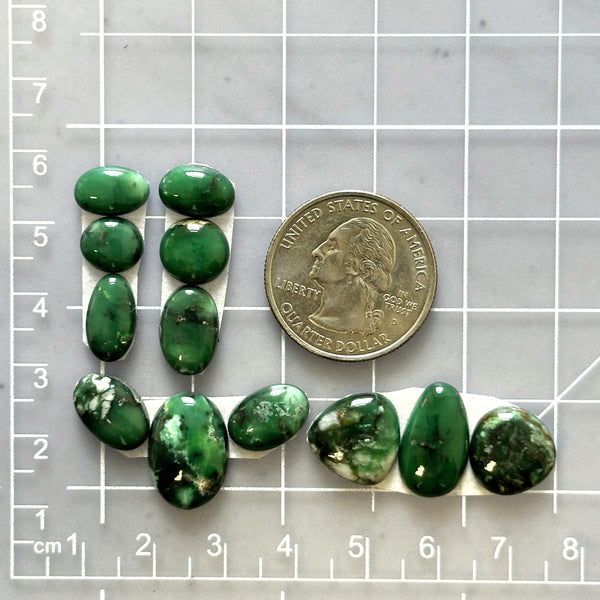 Small Deep Green Mixed Broken Arrow Variscite, Set of 12 Dimensions