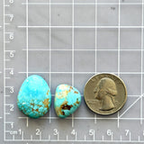 Medium Sky Blue Freeform Royston Turquoise, Set of 2 Dimensions