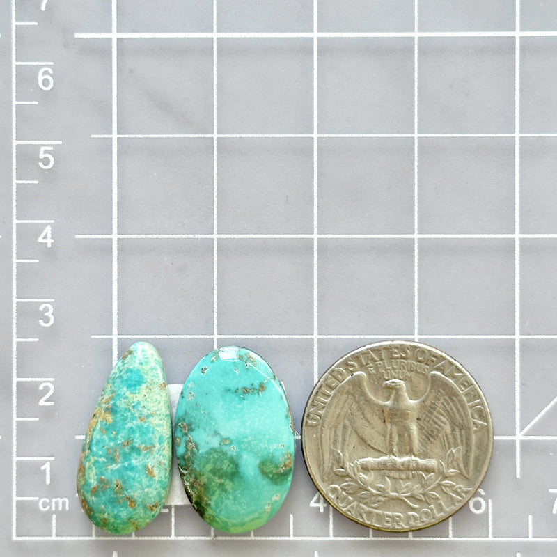 Large Sky Blue Mixed Tyrone Turquoise, Set of 2 Dimensions