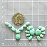 Small Faint Green Mixed Number 8 Turquoise, Set of 20 Dimensions