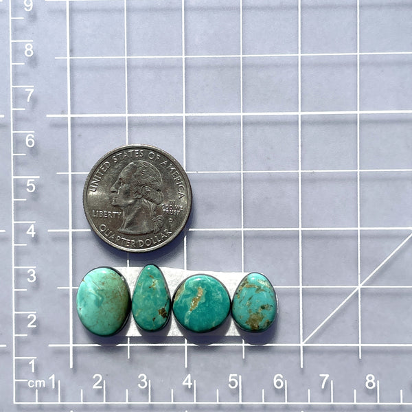 Small Sea Green Mixed Tyrone Turquoise, Set of 4 Dimensions