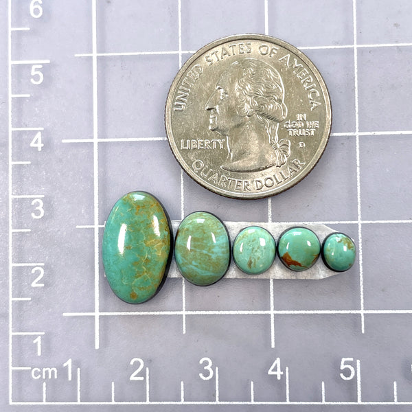 Small Mint Green Mixed Tyrone Turquoise, Set of 5 Dimensions