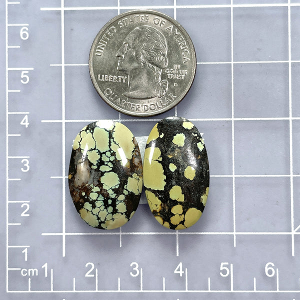 Large Earth Brown Oval Treasure Mountain Turquoise, Set of 2 Dimensions