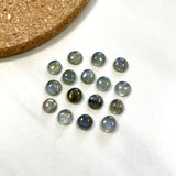 5x5mm Round Labradorite, Set of 8