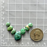 Small Sea Green Mixed Mixed Turquoise, Set of 7 Dimensions