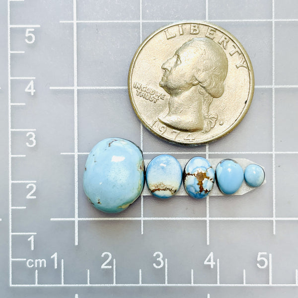 Small Sky Blue Freeform Golden Hills Turquoise, Set of 5 Dimensions