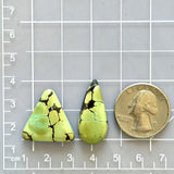 Large Sea Green Mixed Giraffe Turquoise, Set of 2 Dimensions
