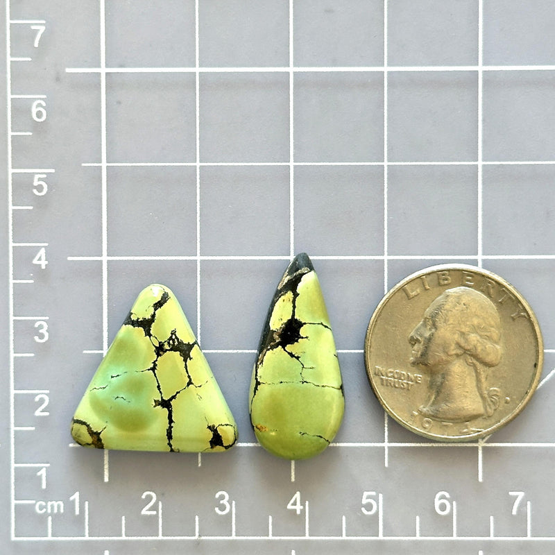 Large Sea Green Mixed Giraffe Turquoise, Set of 2 Dimensions