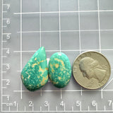 Large Mint Green Mixed Fox Turquoise, Set of 2 Dimensions