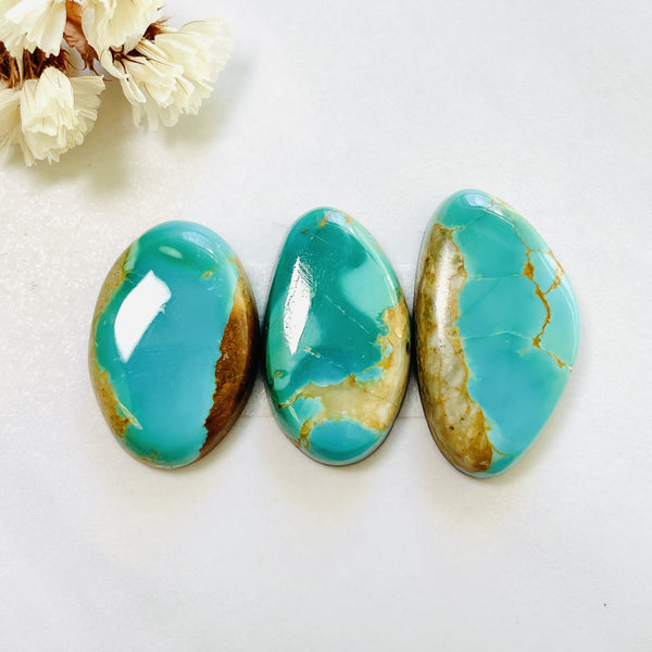 Large Sky Blue Freeform Royston Turquoise, Set of 3 Background