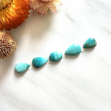 Small Sky Blue Teardrop Fox Turquoise, Set of 5 Background