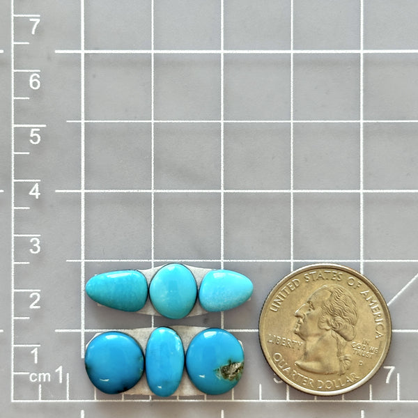 Small Ocean Blue Freeform Sleeping Beauty Turquoise, Set of 6 Dimensions